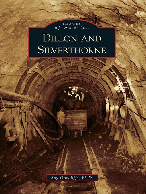 Title details for Dillon and Silverthorne by Roy Goodliffe - Available